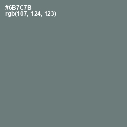 #6B7C7B - Boulder Color Image