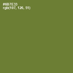 #6B7E33 - Crete Color Image