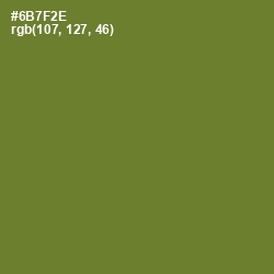 #6B7F2E - Fern Frond Color Image