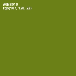 #6B8016 - Trendy Green Color Image