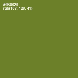 #6B8029 - Olive Drab Color Image