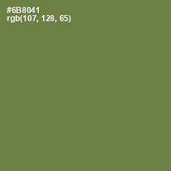 #6B8041 - Glade Green Color Image