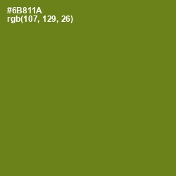 #6B811A - Trendy Green Color Image