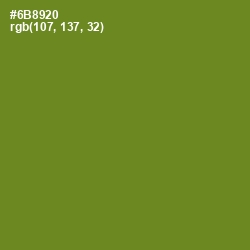 #6B8920 - Olive Drab Color Image