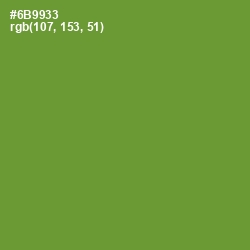 #6B9933 - Olive Drab Color Image