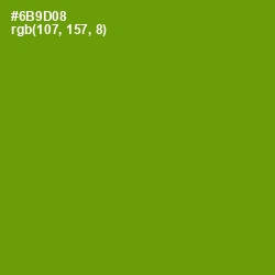 #6B9D08 - Limeade Color Image