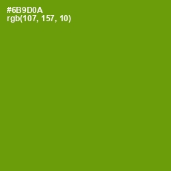 #6B9D0A - Limeade Color Image