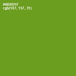 #6B9D1F - Trendy Green Color Image