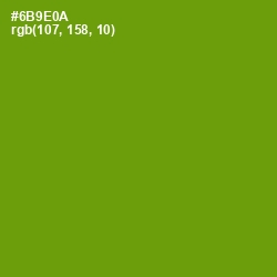 #6B9E0A - Limeade Color Image