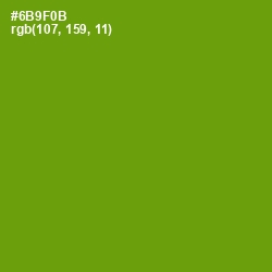 #6B9F0B - Limeade Color Image