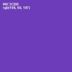 #6C3CBB - Royal Purple Color Image