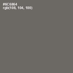 #6C6864 - Flint Color Image