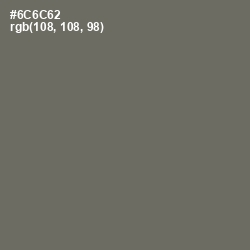 #6C6C62 - Flint Color Image