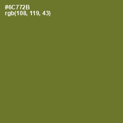 #6C772B - Fern Frond Color Image