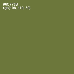 #6C773B - Pesto Color Image