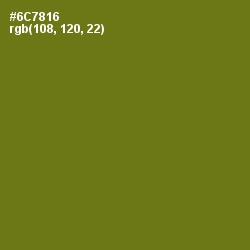 #6C7816 - Olivetone Color Image