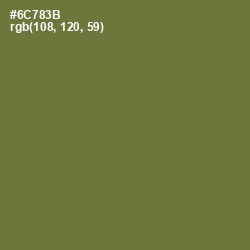 #6C783B - Pesto Color Image