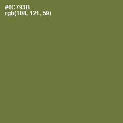 #6C793B - Pesto Color Image