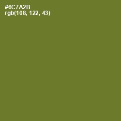 #6C7A2B - Fern Frond Color Image