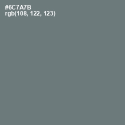 #6C7A7B - Boulder Color Image
