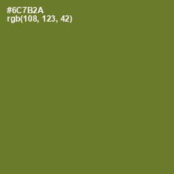 #6C7B2A - Fern Frond Color Image