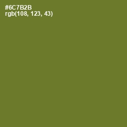 #6C7B2B - Fern Frond Color Image