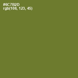 #6C7B2D - Fern Frond Color Image