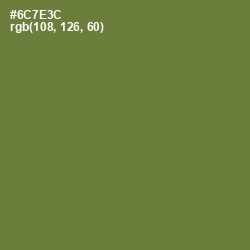 #6C7E3C - Pesto Color Image