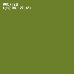 #6C7F2B - Fern Frond Color Image