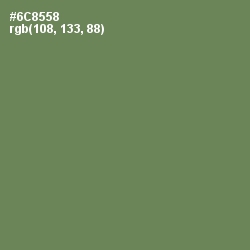 #6C8558 - Glade Green Color Image
