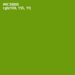 #6C9B0B - Limeade Color Image