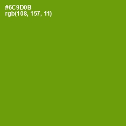 #6C9D0B - Limeade Color Image