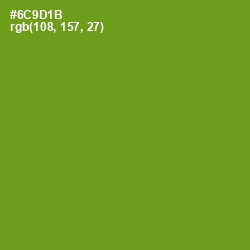 #6C9D1B - Limeade Color Image