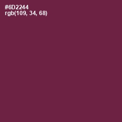 #6D2244 - Tawny Port Color Image