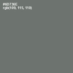 #6D736E - Dove Gray Color Image