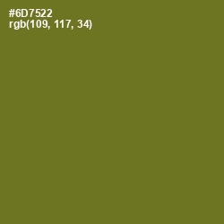 #6D7522 - Fern Frond Color Image