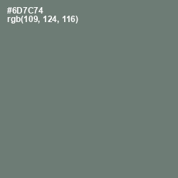 #6D7C74 - Boulder Color Image
