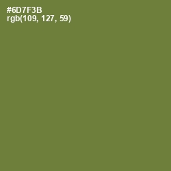 #6D7F3B - Pesto Color Image