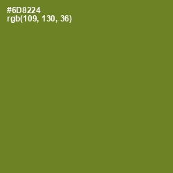 #6D8224 - Olive Drab Color Image