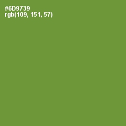 #6D9739 - Olive Drab Color Image