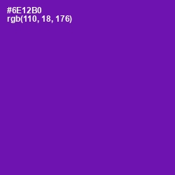 #6E12B0 - Purple Color Image