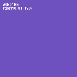 #6E51BE - Blue Violet Color Image