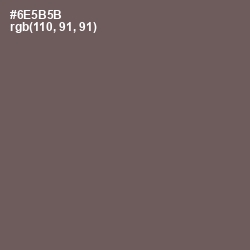 #6E5B5B - Pine Cone Color Image