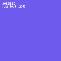 #6E5BED - Moody Blue Color Image