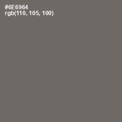 #6E6964 - Flint Color Image