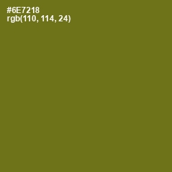 #6E7218 - Olivetone Color Image
