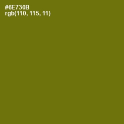 #6E730B - Olivetone Color Image