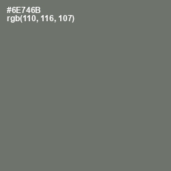 #6E746B - Dove Gray Color Image