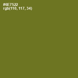 #6E7522 - Fern Frond Color Image