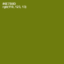 #6E7B0D - Olivetone Color Image